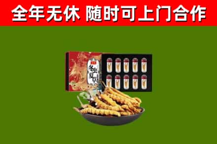 吉阳区烟酒回收冬虫夏草礼盒.jpg