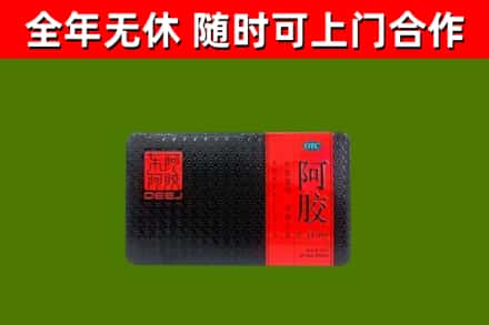 吉阳区回收阿胶